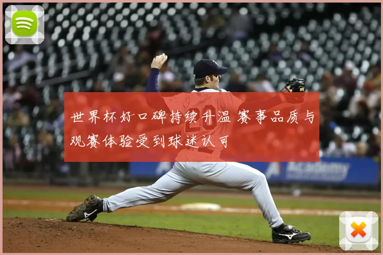 世界杯好口碑持续升温 赛事品质与观赛体验受到球迷认可