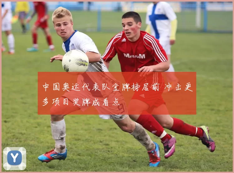 中国奥运代表队金牌榜居前 冲击更多项目奖牌成看点