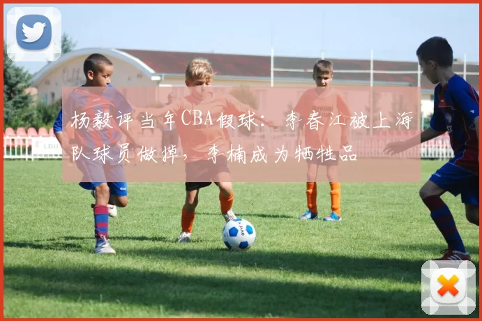 杨毅评当年CBA假球：李春江被上海队球员做掉，李楠成为牺牲品